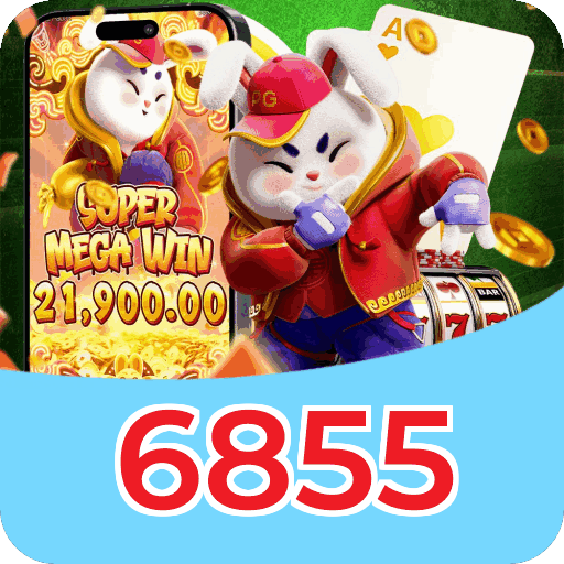 FAQ VIP 6855